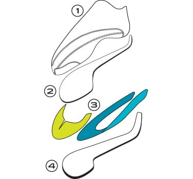 Shoes Layers